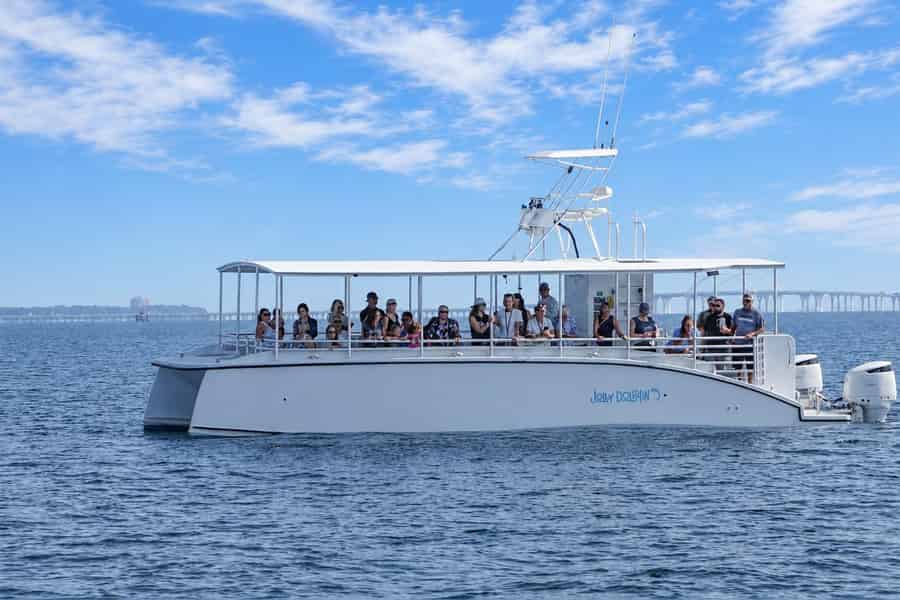 Pensacola Beach: Bootsfahrt mit Delfinbeobachtung und Panorama-Bucht-Tour. Foto: GetYourGuide Pensacola Beach: Bootsfahrt mit Delfinbeobachtung und Panorama-Bucht-Tour. Foto: GetYourGuide