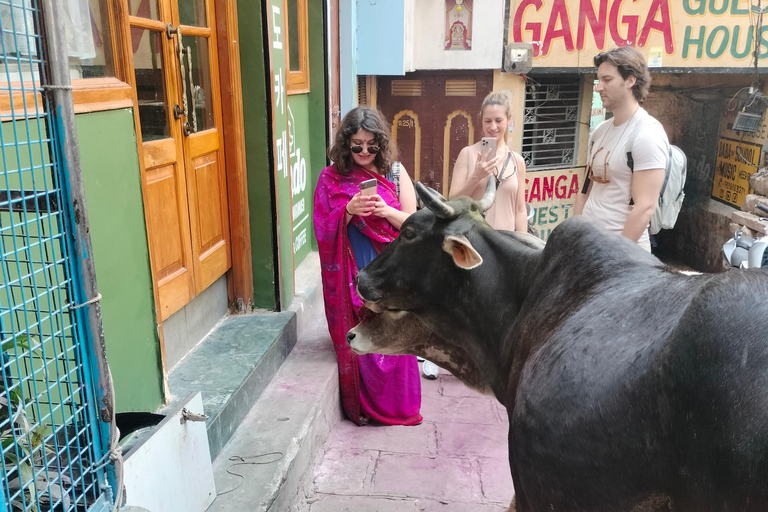 DAGVULLENDE TOUR MET ENGELSE EN SPAANSE GIDS