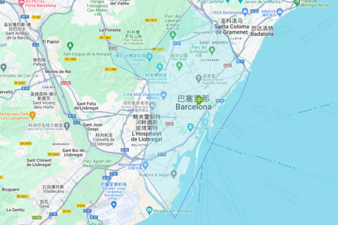 From Barcelona: Sagrada Familia Cathedral+Casa Mira Day Trip Private Customized Journey