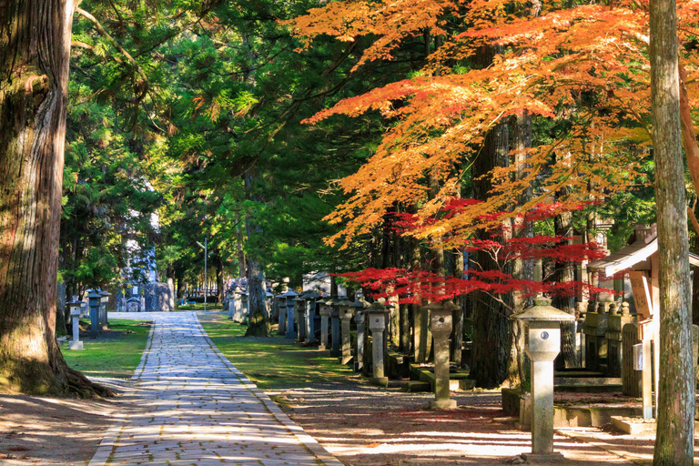 From Kyoto: Nara and Mt. Koya Day Tour with Lunch