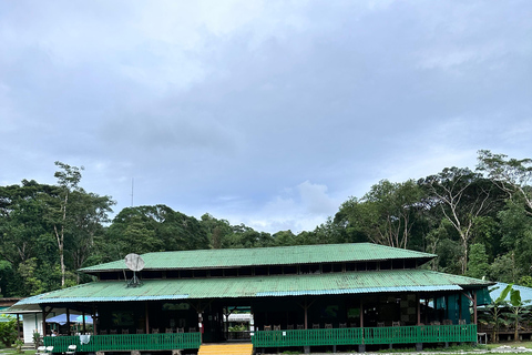 Puerto Jimenez: Parque Nacional Corcovado 2 Dias 1 Noche (boat in &amp; out)