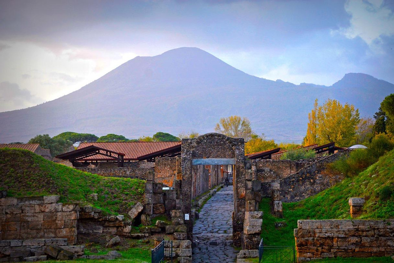 Vanuit Rome: Pompeii en Vesuvio dagtrip met gids en lunchVanuit Rome: Pompeii en Vesuvius begeleide dagtrip met lunch