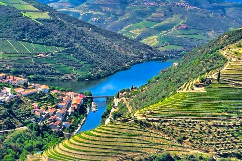 Porto: Dourovallei-ervaring met 3 wijnhuizen en lunchDouro Valley Tour: 3 wijngaarden allemaal inbegrepen