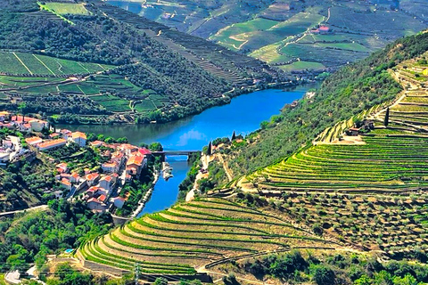 Porto: Dourovallei-ervaring met 3 wijnhuizen en lunchDouro Valley Tour: 3 wijngaarden allemaal inbegrepen