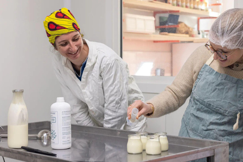 Bordeaux - Cheese Workshop: Make a St Marcell'eaux