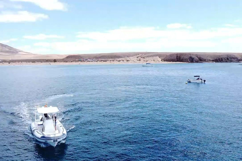 Lanzarote: Private boat Trip 2:30h 2:30-Hour Private Tour