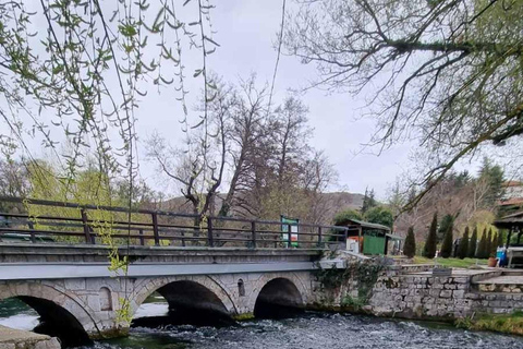 Ohrid: Lake Ohrid, St. Naum, & Pogradec Day Trip