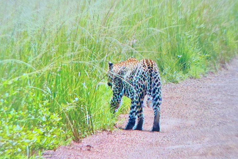 Visit Akagera national park with Passionate Guide