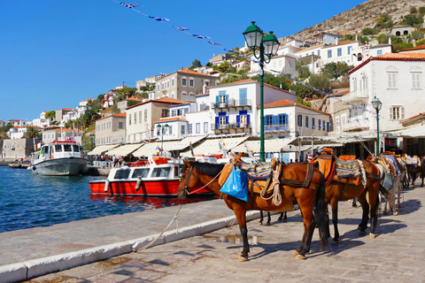 Da Atene: Escursione privata di un giorno sull&#039;isola di HydraTour privato dell&#039;isola di Hydra da Atene