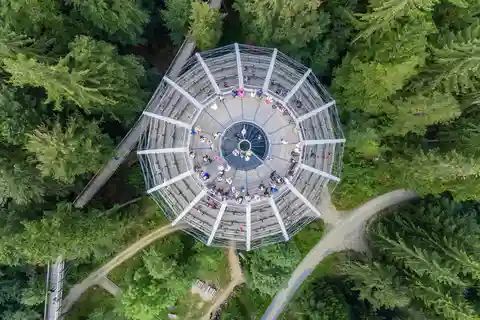 Bavarian Forest: Treetop Walk & Egg Tower Experience