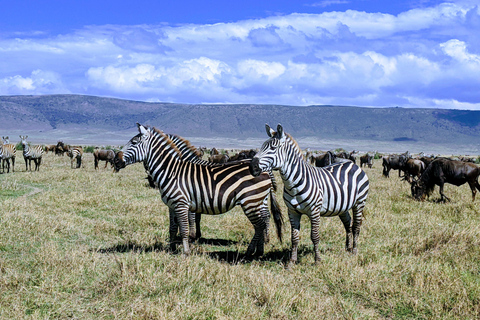 Zanzibar: Safari di 2 giorni nel Parco Nazionale di Mikumi