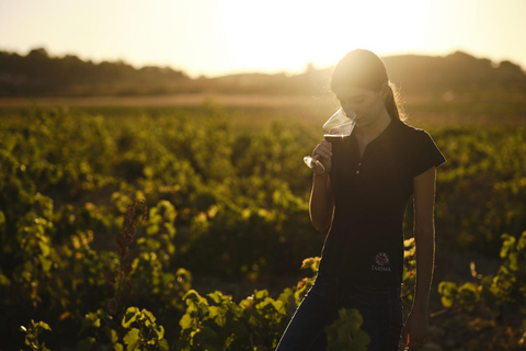 Alicante (Pinoso): Tour Experience Back from the Vineyard to the glass