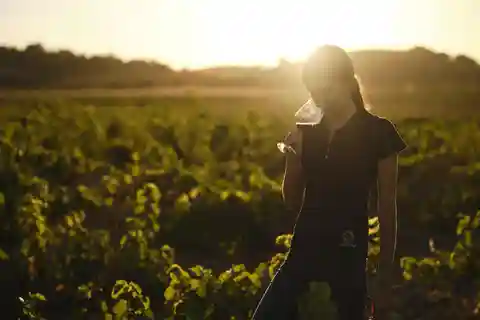 Alicante (Pinoso) : Tour Experiencia Volver del Viñedo a la copa (Retour du vignoble au verre)