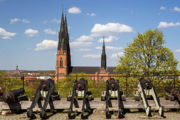 Stockholm: Uppsala Half-Day Swedish Oxford & Cathedral Tour