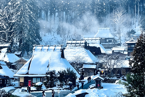 Osaka: Amanohashidate, Ine Cruise & Miyama Village From Osaka (Basic Package)