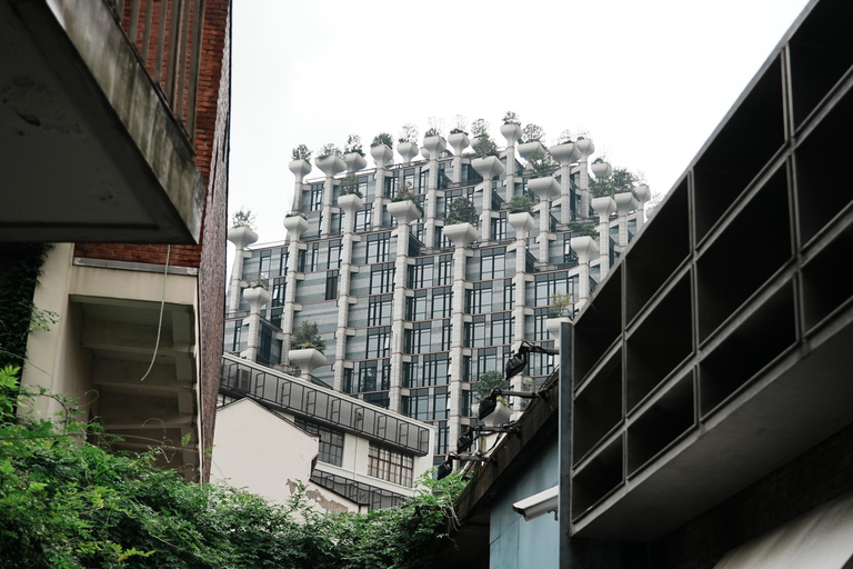 Shanghai: Suzhou Creek Industrial Heritage Walking Tour