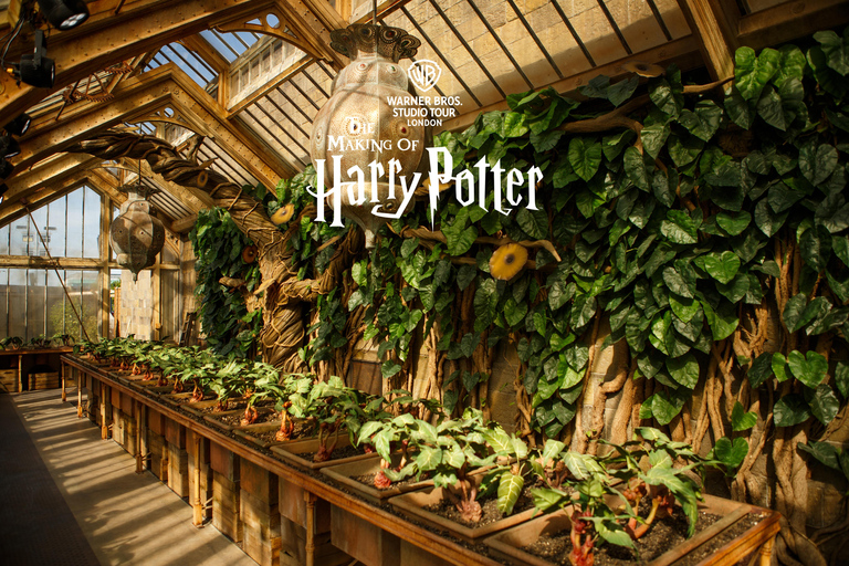 London: Harry Potter Warner Bros. Studio Tour with Transfer London: Harry Potter Warner Bros. Studio Entry Ticket