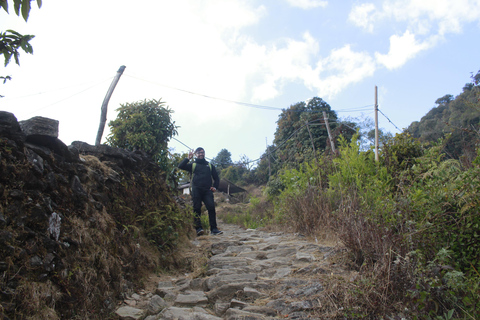 Pokhara: 3-Day Astam, Dhampus, and Australian Camp Trek