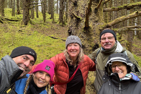 Kodiak: Rainforest Hike with Naturalist Guide