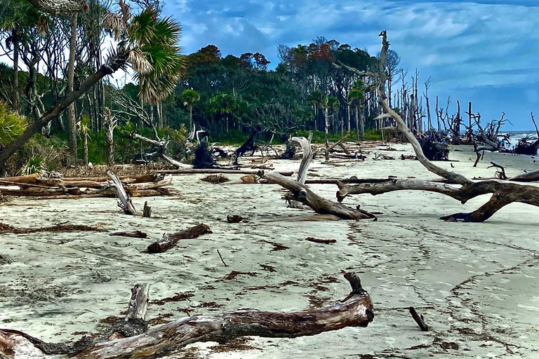 Charleston: Capers Island Wildlife Eco Tour with Guide