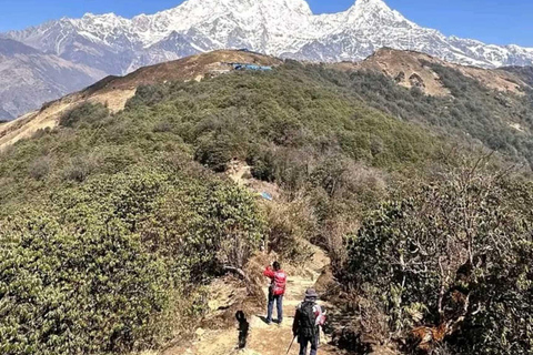 Nepal: Small Group 4-day Mardi Himal Trekking Pokhara: 4-days Mardi Himal Guided Trek