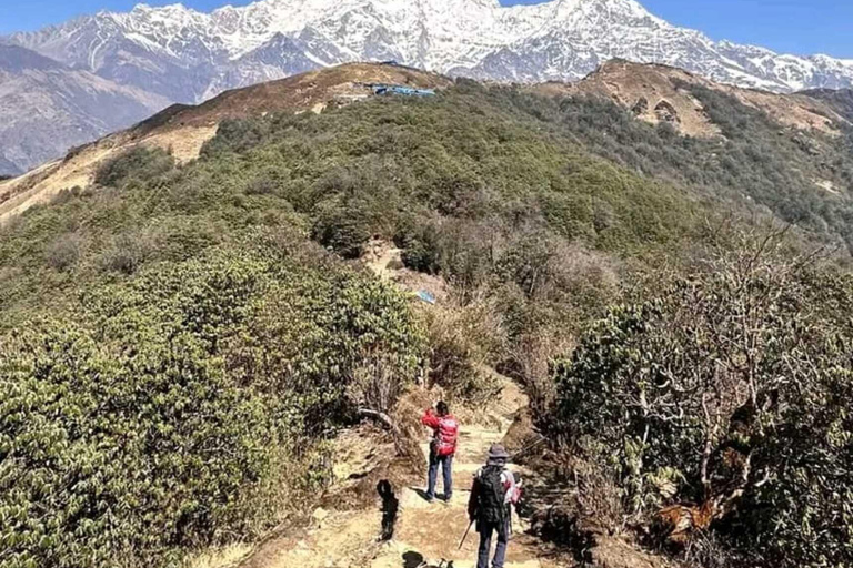 Nepal: Small Group 4-day Mardi Himal Trekking Pokhara: 4-days Mardi Himal Guided Trek