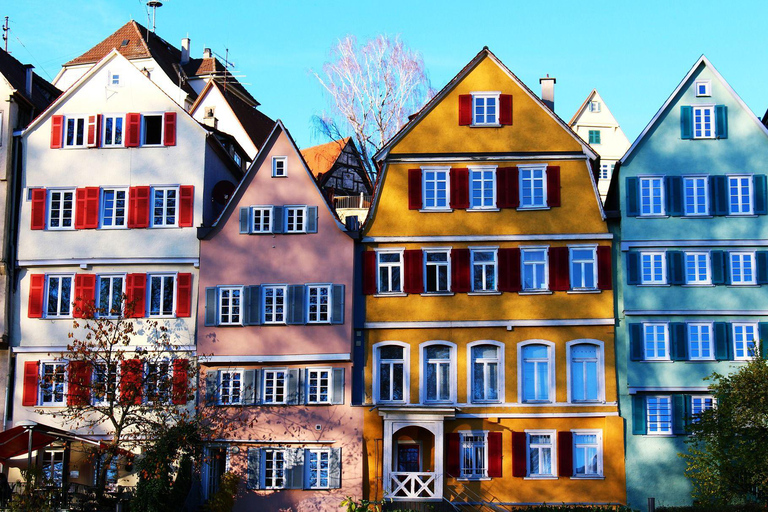 Tübingen: Passeio a pé com guia particular