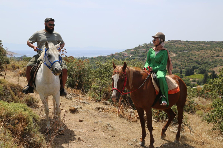 Bodrum: Horse Riding Experience with Forest or Seaside Route Seaside Horse Riding Tour (2 Hours – Beach Route)