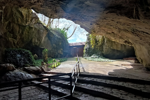 From Belgrade: 4-stop Private East Serbia Tour of All Key Sites