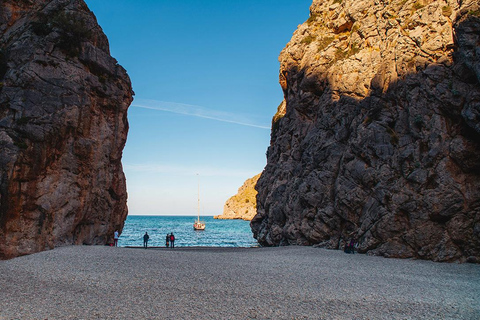 All of Mallorca: Exclusive Experience in an Intimate Group (12 people max.)