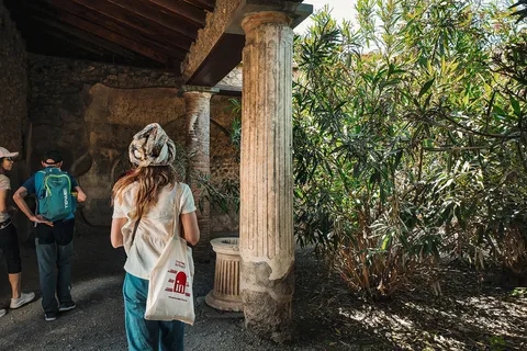 Pompeii & Herculaneum: Skip-the-line & App Audio Guide