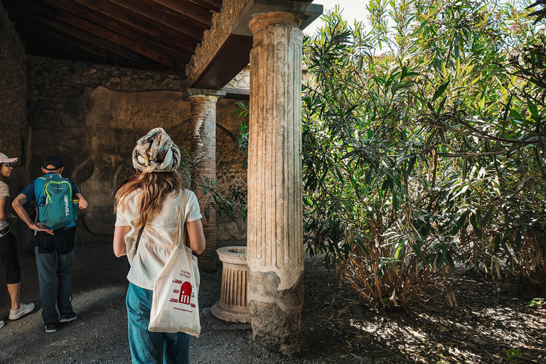 Pompeji &amp; Herculaneum: Skip-the-line &amp; App Audioguide