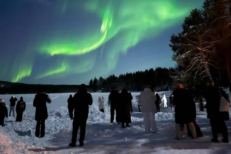 Nordlichter-Tour mit Barbecue und Drinks. Foto: GetYourGuide Nordlichter-Tour mit Barbecue und Drinks. Foto: GetYourGuide