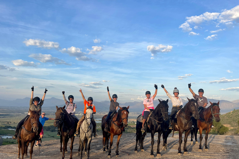 Vrede en Lust Wine Estate:1-Hour Horseback Riding Experience