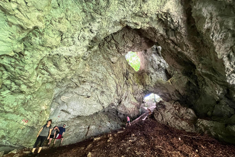 From Bled: Half-Day Pokljuka Gorge Trail Hike (Private)