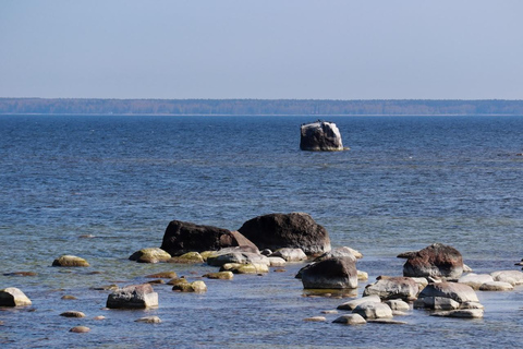 From Tallinn: Wild Swimming Trip with 4 Natural Waters