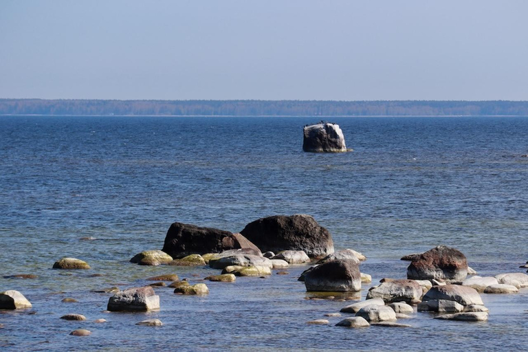 From Tallinn: Wild Swimming Trip with 4 Natural Waters