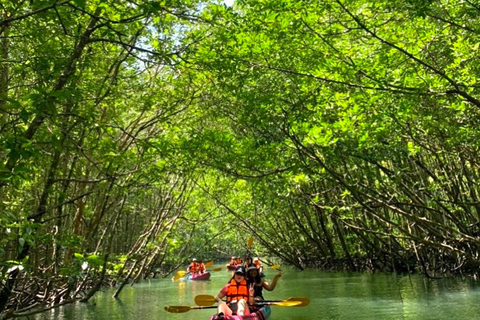 Krabi: tour in kayak delle mangrovie nascoste con extra opzionaliTour guidato di un giorno intero in kayak con pranzo e massaggio