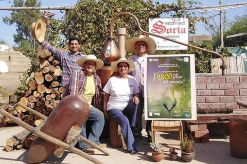 Lima: Trasferimento + Paracas + HuacachinaLima: Trasferimento + Paracas+ Huacachina