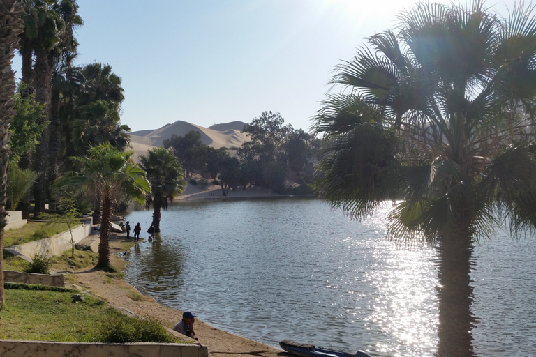 From Lima: Paracas, Huacachina, and Chincha Day Trip