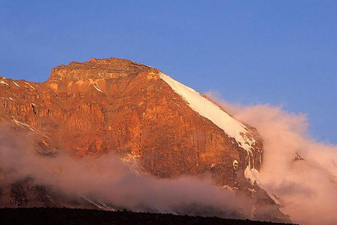 Le Kilimandjaro en un jour : Aventure inoubliable sur la route de Marangu