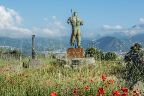 Z Rzymu: jednodniowa wycieczka do Pompei i SorrentoZ Rzymu: Day Trip do Pompei i Sorrento