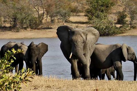 Vanuit Johannesburg: 15-daagse overlandtour naar Kaapstad