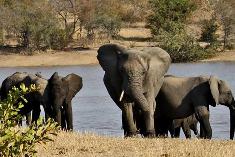Vanuit Johannesburg: 15-daagse overlandtour naar Kaapstad