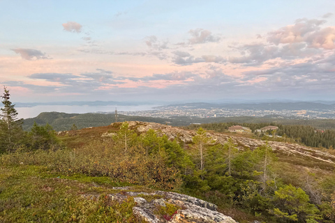 Trondheim: Gråkallen Guided Hike in Bymarka