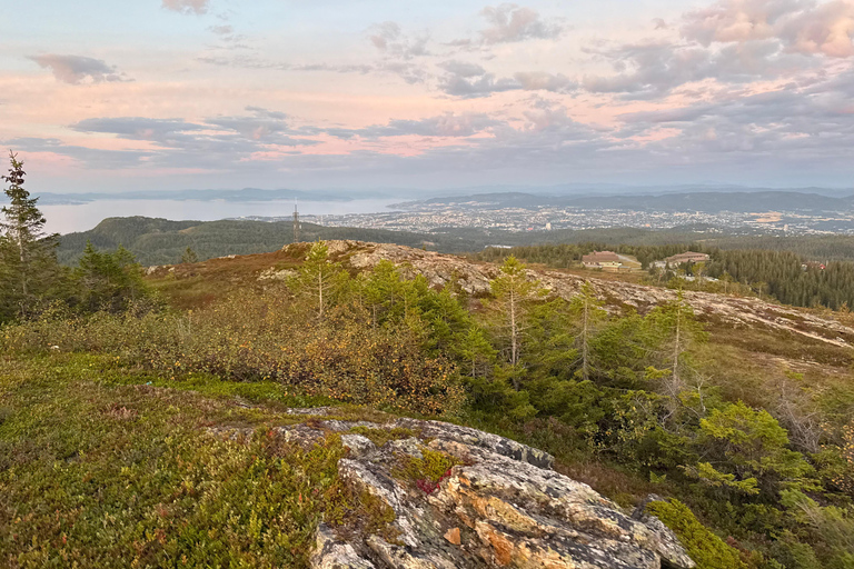 Trondheim: Gråkallen Guided Hike in Bymarka