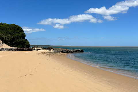 Mozambique: Inhaca, Santa Maria, and Portuguese Islands Tour