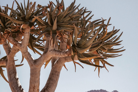 From Swakopmund: Spitzkoppe Mountains and Himba Village Tour