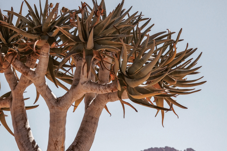 From Swakopmund: Spitzkoppe Mountains and Himba Village Tour