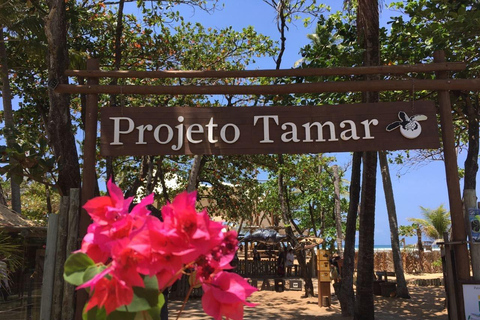From Salvador: Praia do Forte and Guarajuba Day Trip